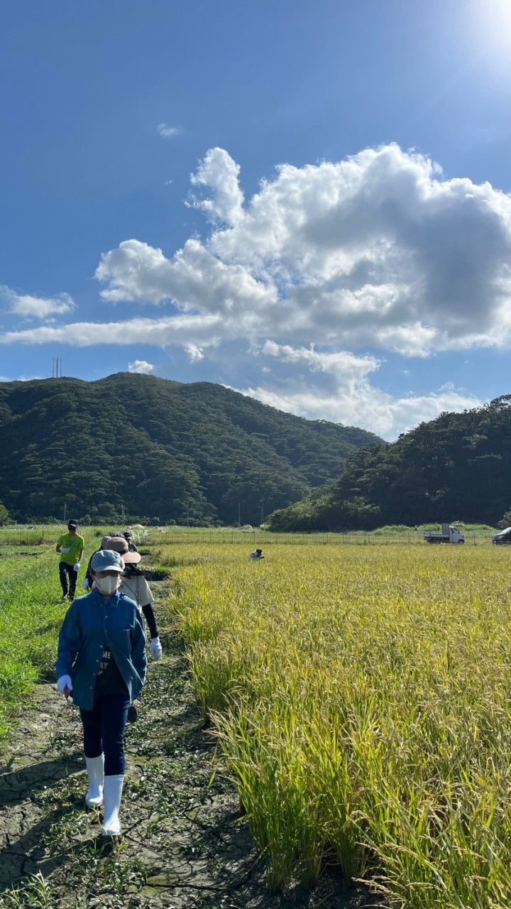 島まーる　渡嘉敷島