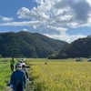 島まーる　渡嘉敷島