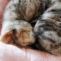 ひだまりみたいな居場所に　40代以上の北関東近隣