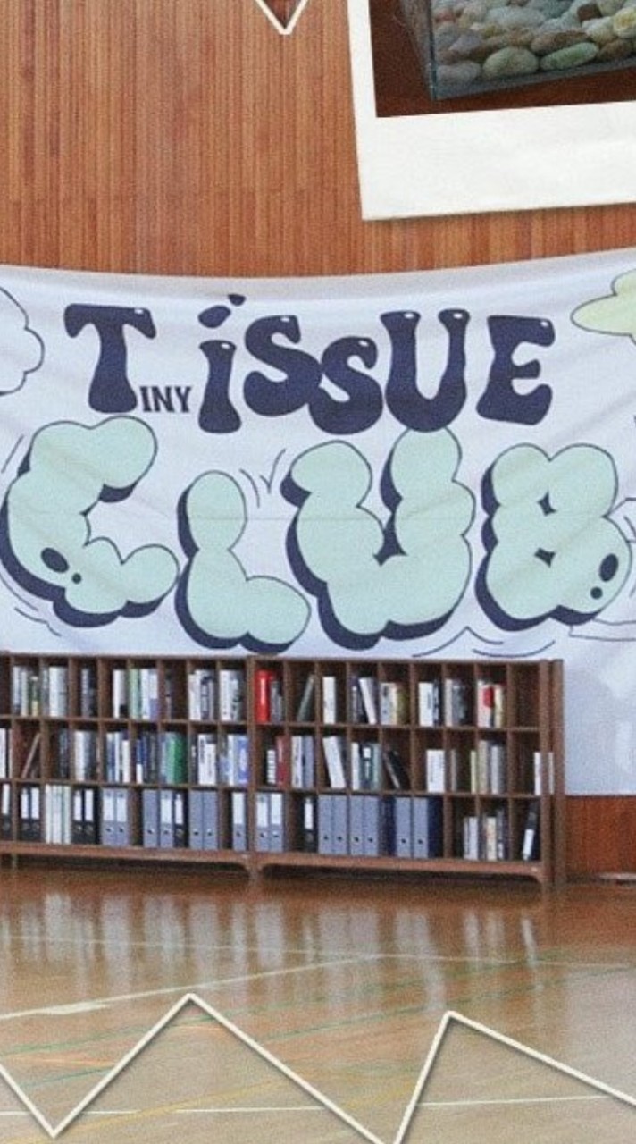 TinyiSSUE