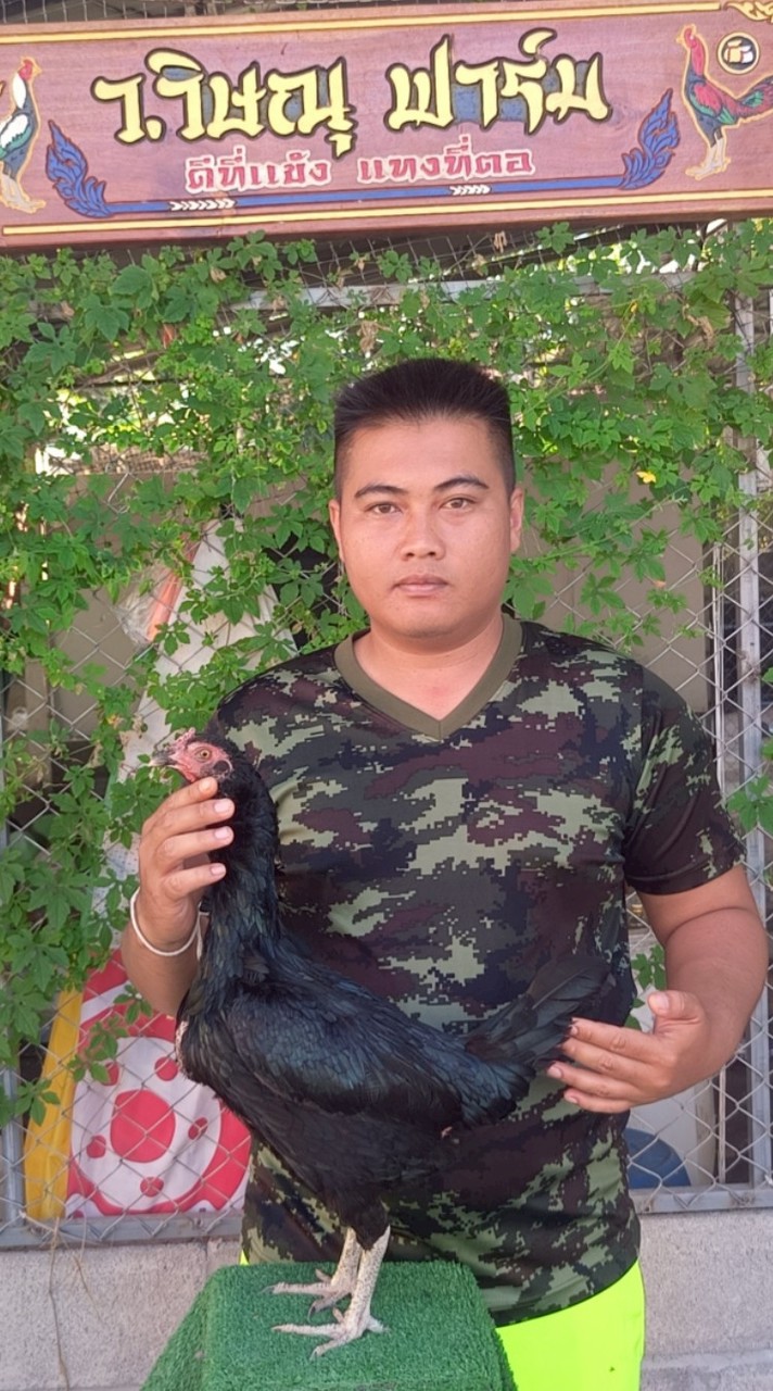 ว.วิษณุ ฟาร์ม (V3)