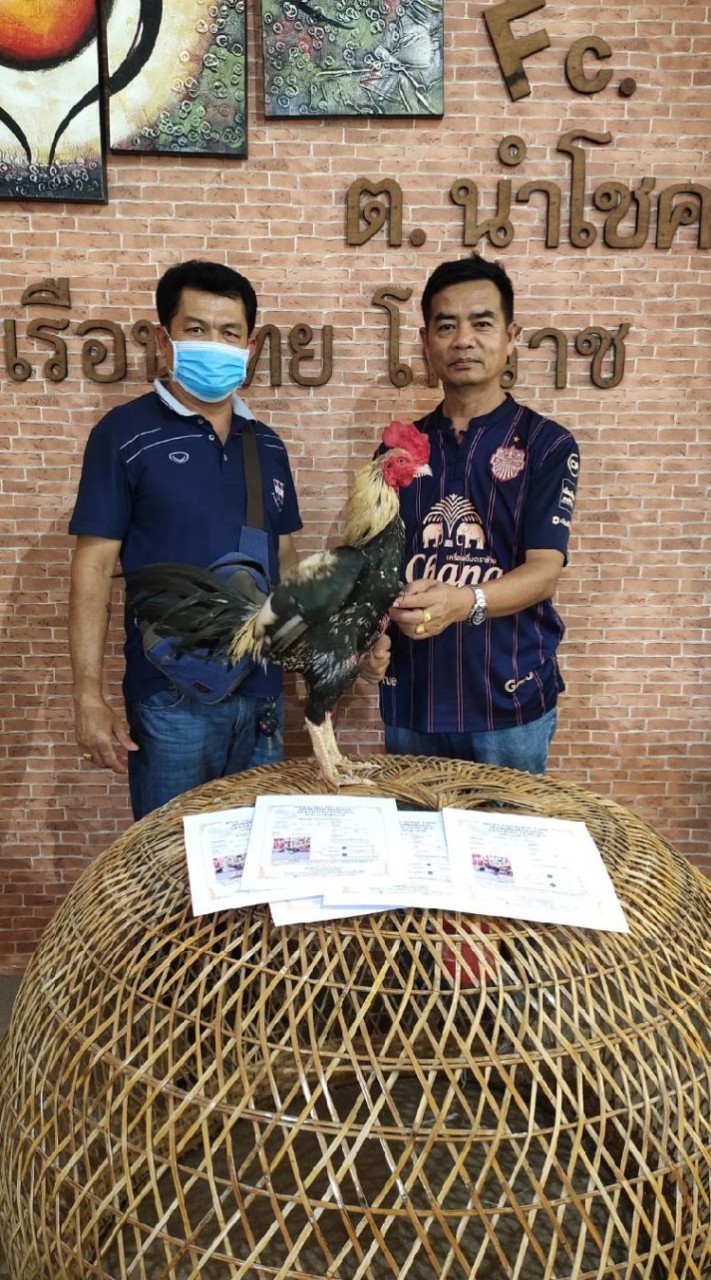 ซุปเปอร์วี ฟาร์ม