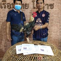 ซุปเปอร์วี ฟาร์ม
