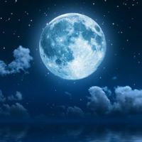 貯金☆節約。趣味★雑談