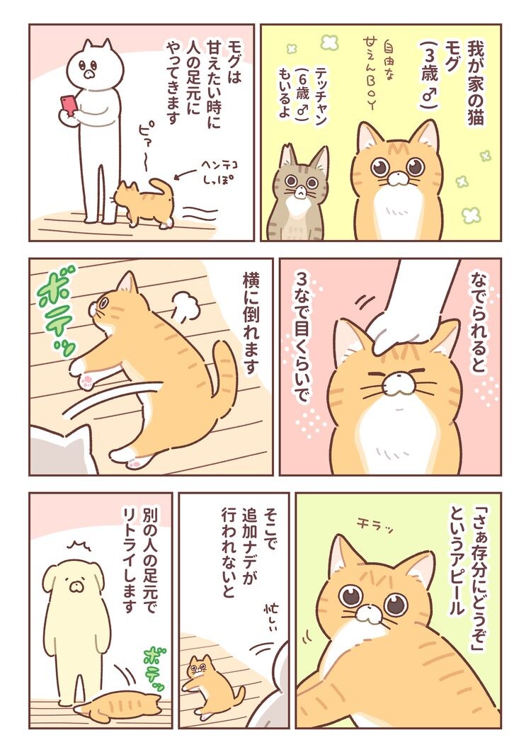 マンガ家の うちの子 自慢 第11回 藤沢カミヤの うちの子 自慢 コミックナタリー