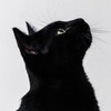 少人数の雑談・ライブトーク