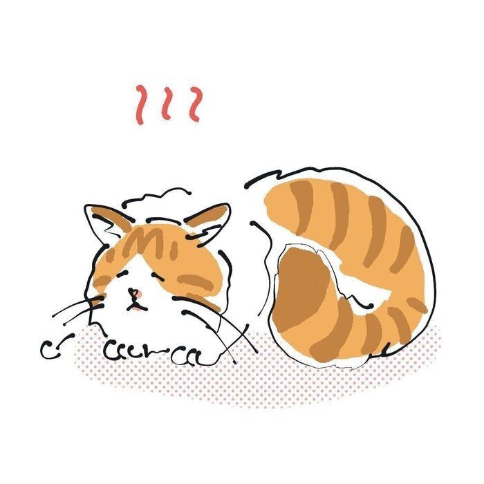 威嚇ポーズが 嘘みたいな可愛さ と話題の保護子猫