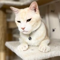 うちの子自慢