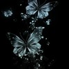 君と　恋に溺れて。爆裂　緩なり　シェアハウス𓂃𓈒🍀𓏸