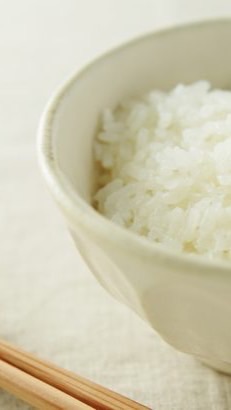 コンちゃんと愉快な仲間たち🍚