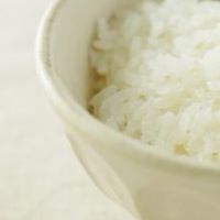 コンちゃんと愉快な仲間たち🍚