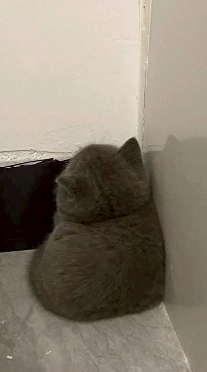 處家人群~