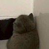 處家人群~