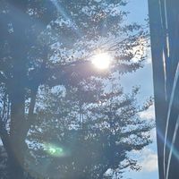 V.K微苛潮韓女裝