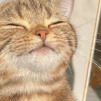 不登校中学生のおぷちゃ！