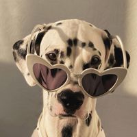 アラサー独身女子🐾