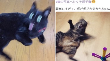 奇蹟一瞬間！日本流行起曬出「貓咪拍壞照片」比賽 大量崩壞喵星人笑翻網友！