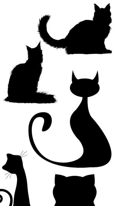 team🐈‍⬛