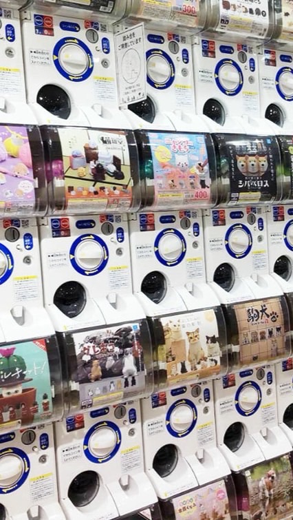 【山口県】ガチャガチャ情報交換🌿