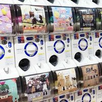 ガチャガチャ情報交換🌿【山口県】