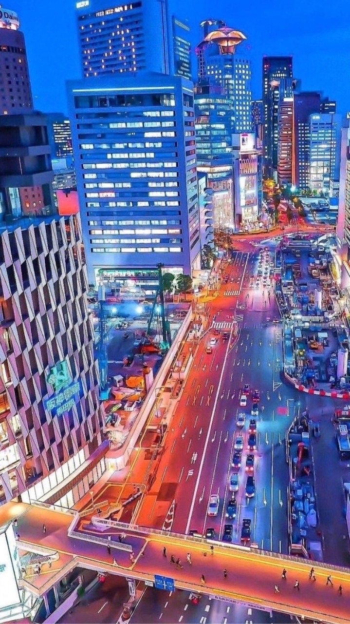 日日有魚