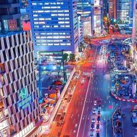 日日有魚