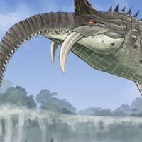 กลุ่มmokele mbembe Godzilla ไครอยากเข้าก็เข้าเลย
