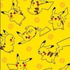 ポケモンGO横浜・東京・埼玉・千葉