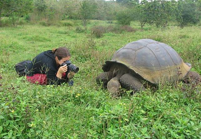 Jangan Ditiru! 6 Behind The Scene Foto Hewan Liar Ini Hanya Dilakukan Profesional