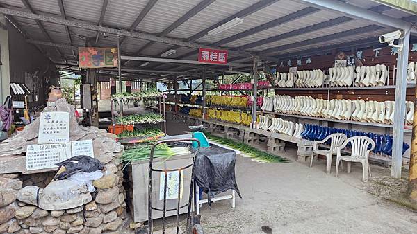 【宜蘭景點】宜蘭農夫青蔥體驗農場-蔥油餅DIY親子農場，還可以零距離無柵欄餵食可愛的小動物
