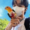 黃氏兄弟忠實黃豆群