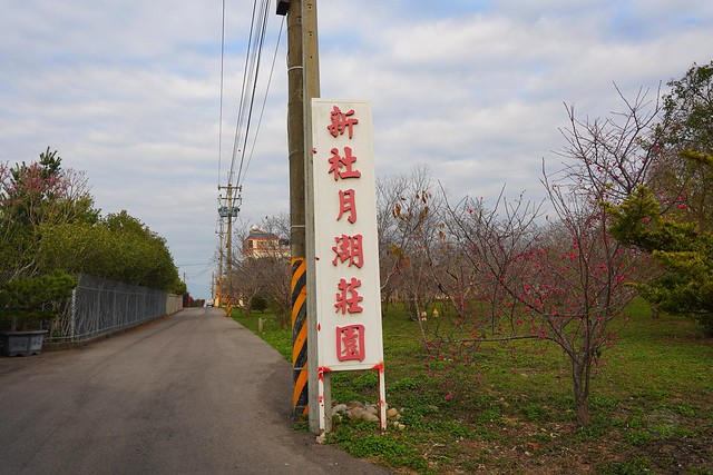 2023新社賞櫻景點