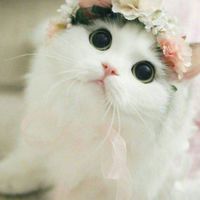 快樂一家