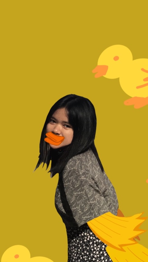 ครอบครัวน้อนเป็ดของยัยแพทเทิร์น