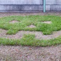 【谷津坂北部】 自治会情報