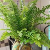 🪴Miyuki的樂芙居🍀植物手作