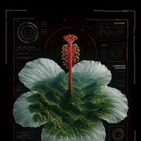 在 落 幕 之 前