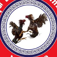 อังเปา​ฟาร์ม​ไก่ชน​