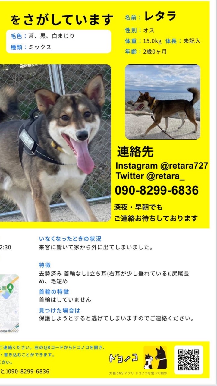 レタラ捜索ポスティング
