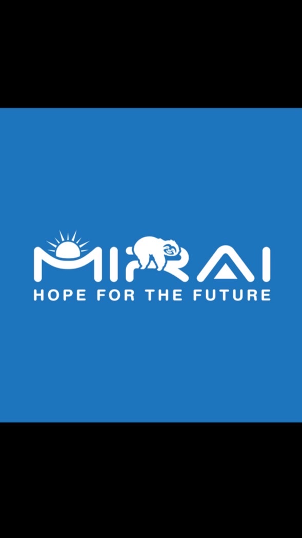 Mirai Climbing