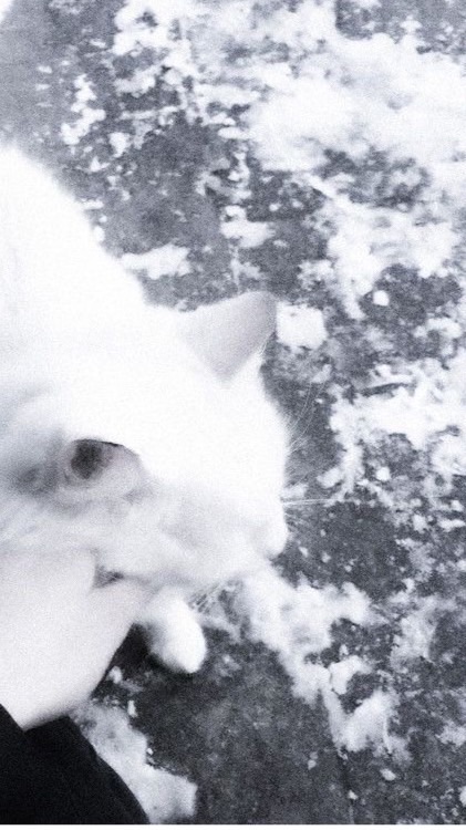 俺の隣にずっといて