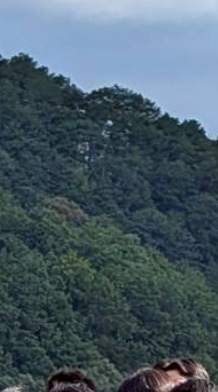 VS三好連合