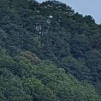 VS三好連合