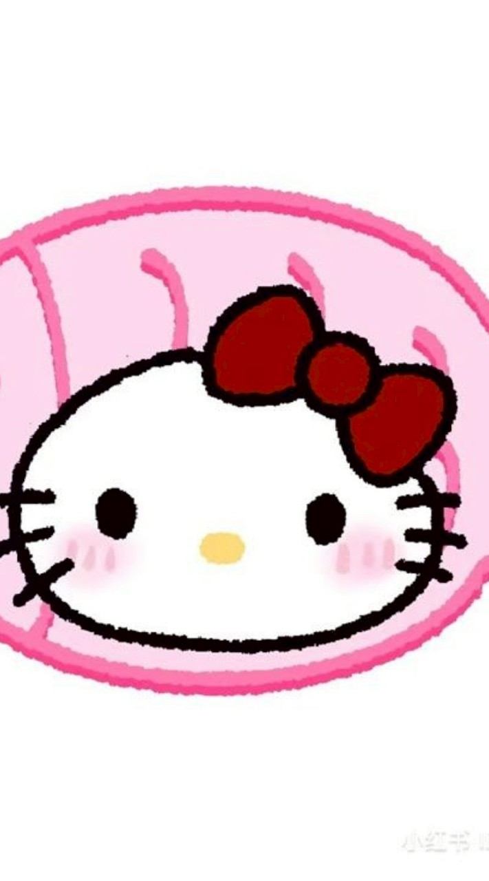 บ้านPN SA