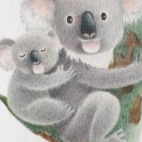 澳洲好物分享團