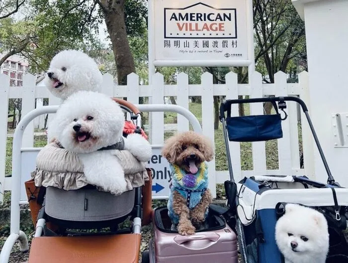 如果你想帶毛孩一起入住體驗美式風格寵物住宿，那麼位於陽明山的美國度假村這間寵物友善飯店可能是一個非常棒的台北住宿推薦。業者規定寵物民宿每間房只能攜帶兩隻寵物，如果再多的話需要酌收每隻500元台幣的清潔費，此外，寵物也不能上床和在寵物友善住宿室內大小便，若因此增加寵物旅館房務人員工作量，可能會需要再增加額外費用。只要遵守上面這些規定，這間寵物飯店戶外那250坪大草原肯定是毛孩們的最愛！