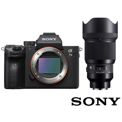 相機及鏡頭接為總代理公司貨 相機配有五軸防手震 399 點相位式對焦點 高達10 fps的高速連拍功能 4K HDR 錄影模式