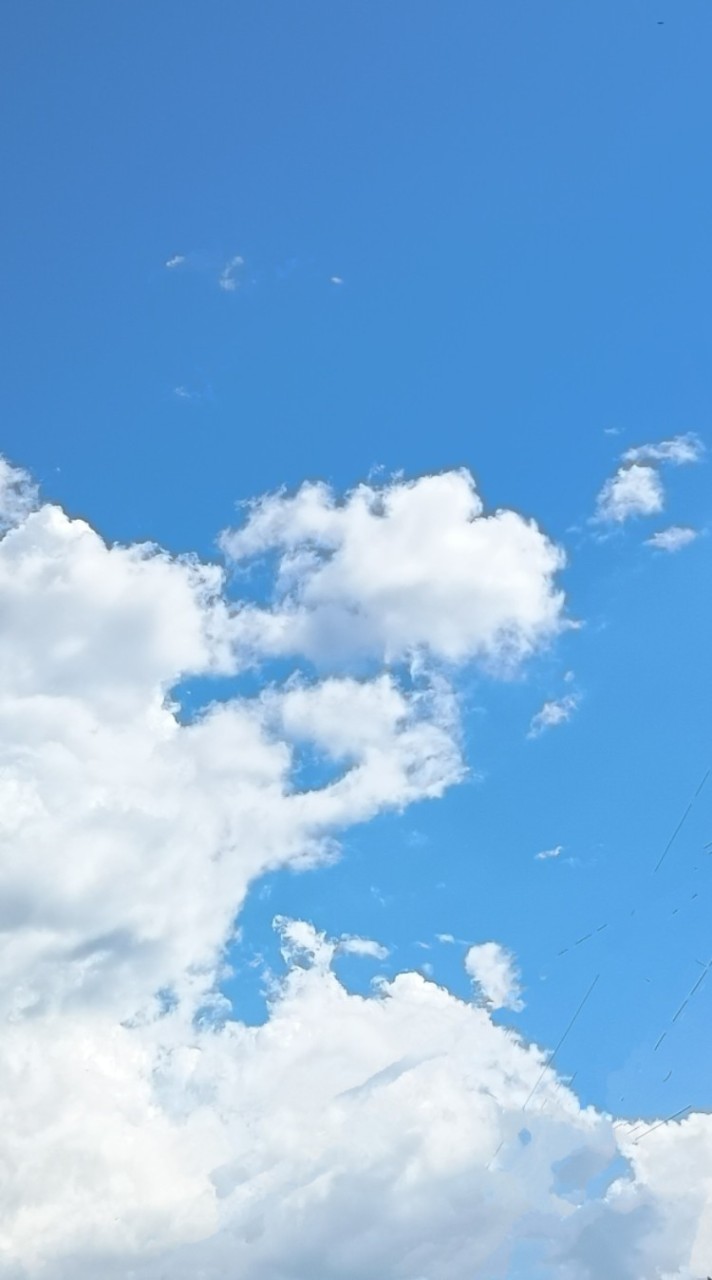 なんでもあり　高校生まで