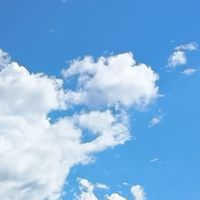 なんでもあり　高校生まで
