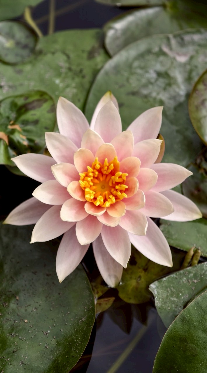 期貨專職人生分享